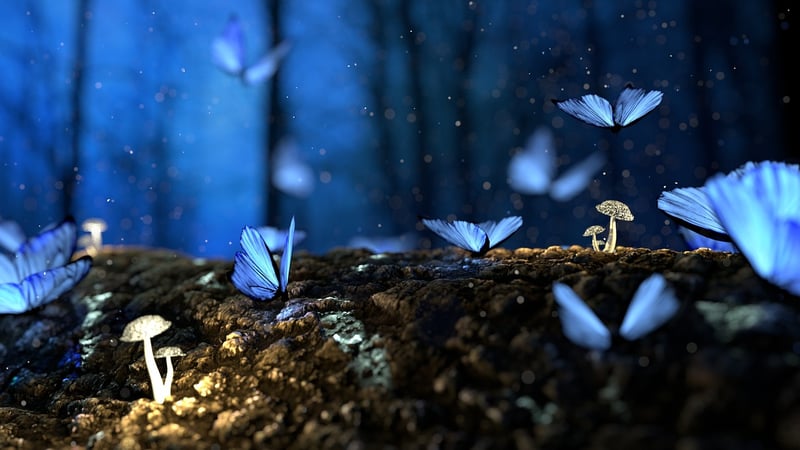 Enchanted Feast